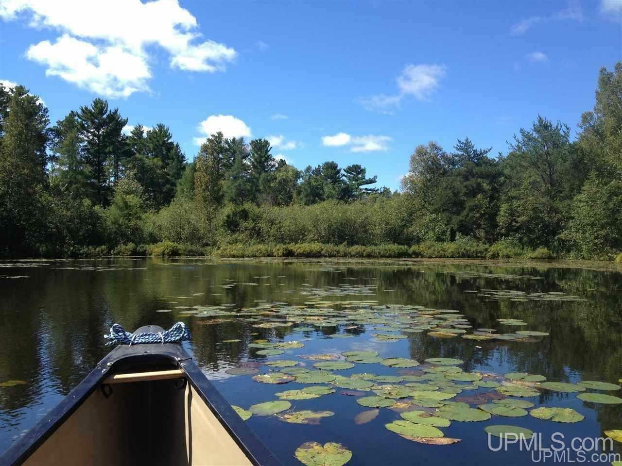Property Photo: N7516 Autrain River Estates MI 49806