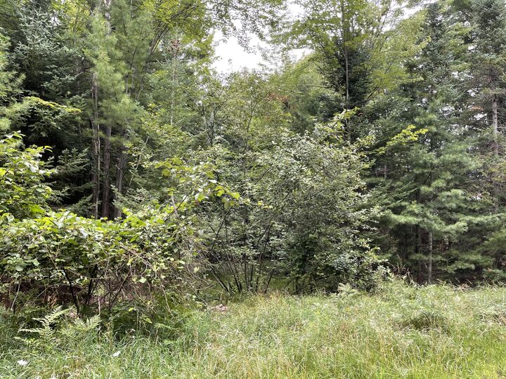 Nestle Road Lot 175  Prudenville MI 48651 photo