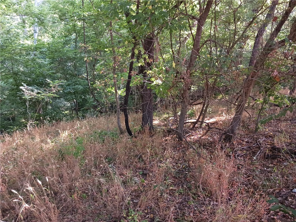 Property Photo:  Lot 13 & 14 N Lakeview Drive  AR 72756 