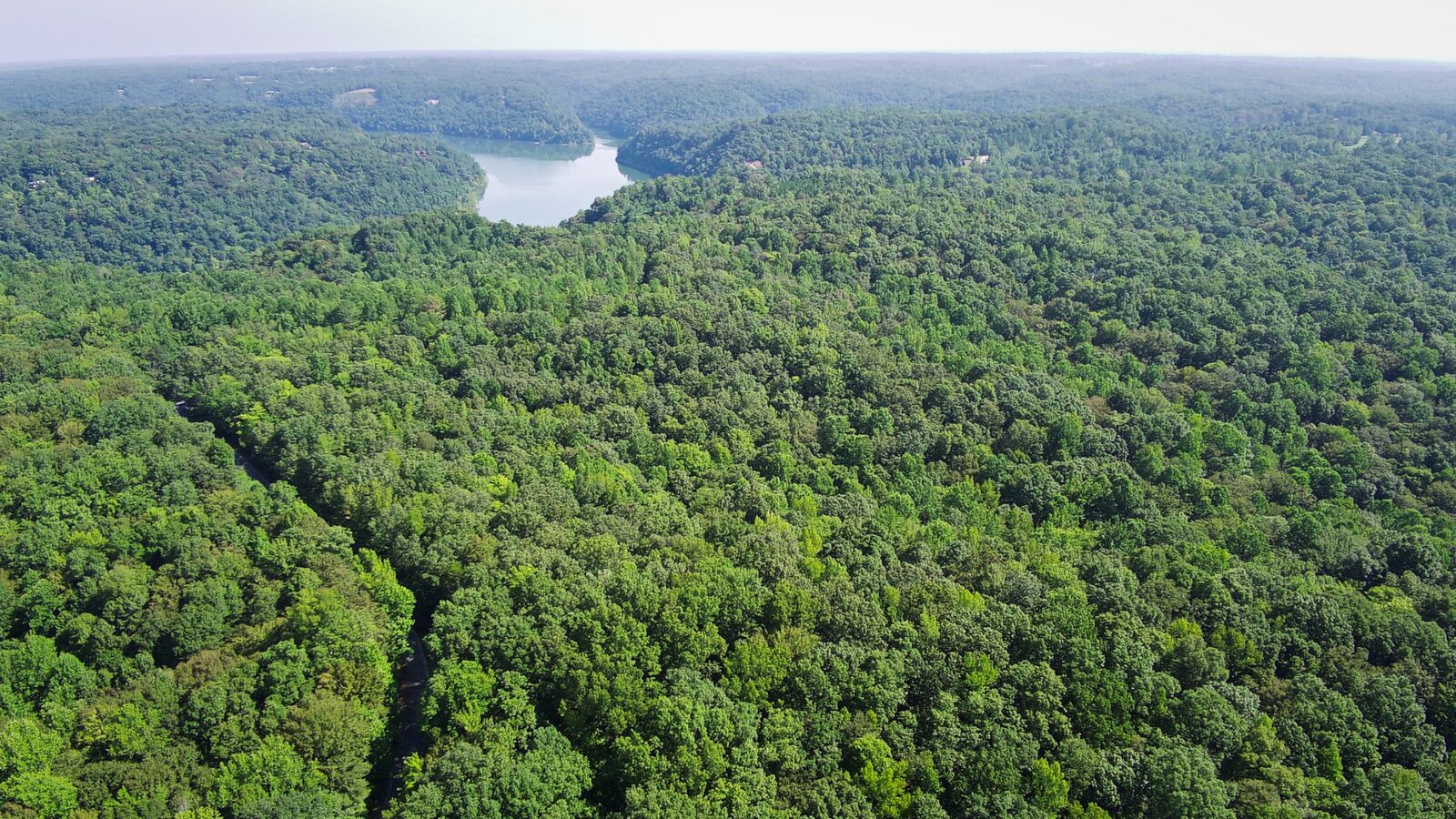 Property Photo:  0 Indian Mound Rd  TN 38583 