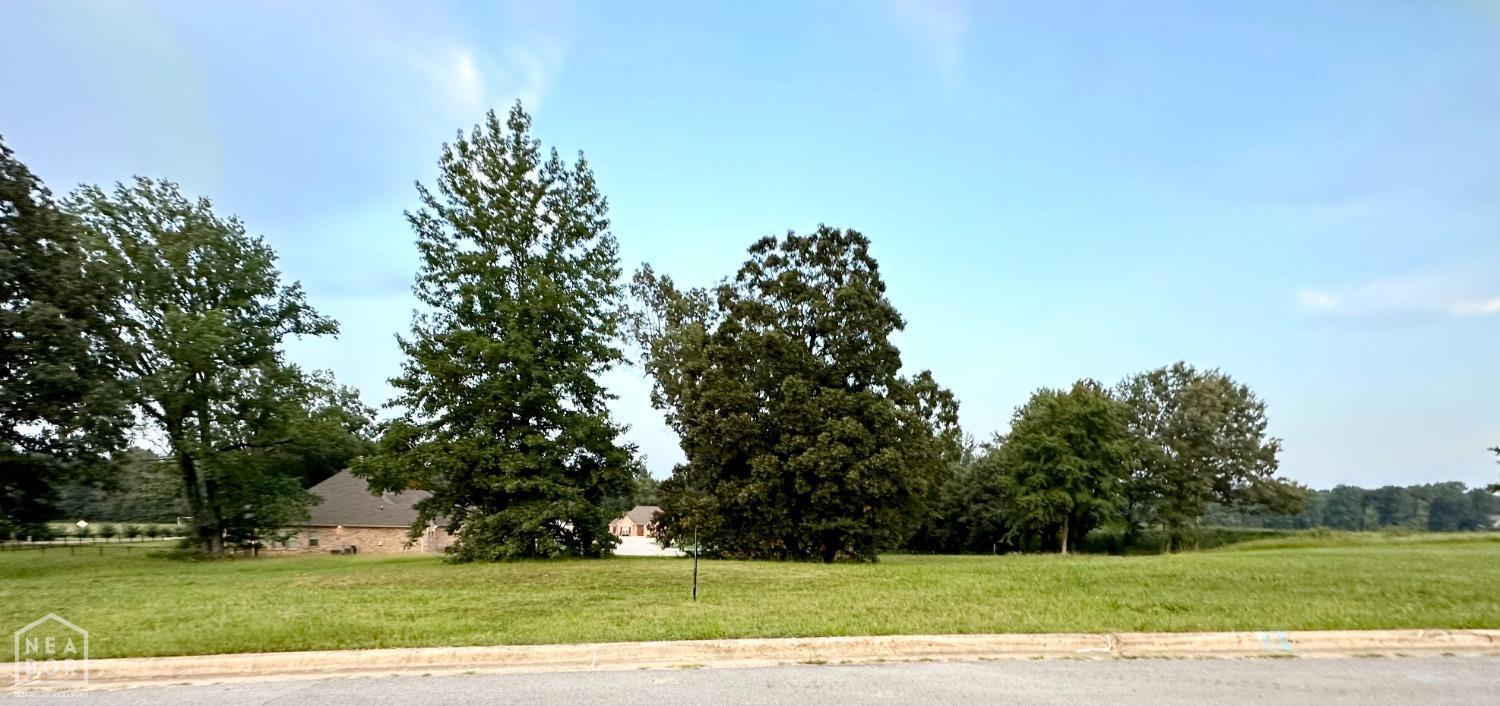 Property Photo: 2076 Sloan Lake Drive AR 72404
