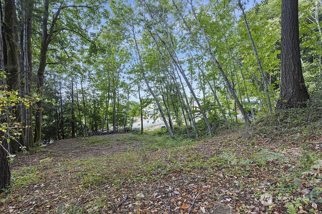 Property Photo: 0 Xxx E Shorecrest Drive WA 98584