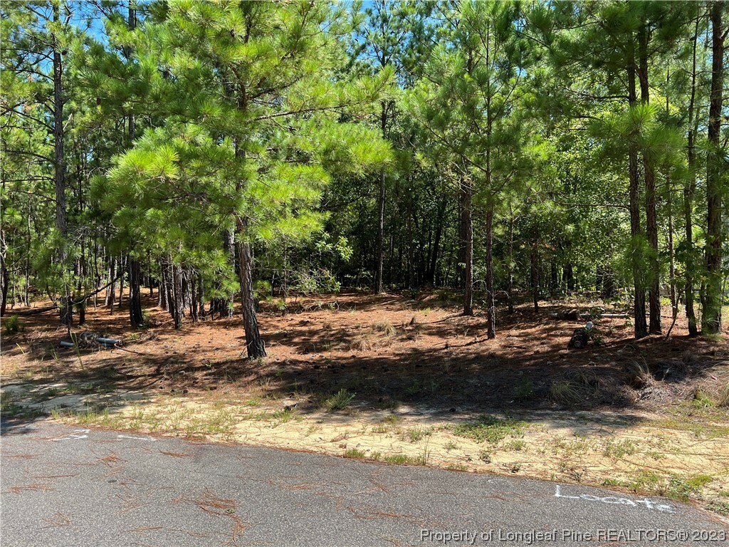 Property Photo: 103 Bexley Court NC 27376