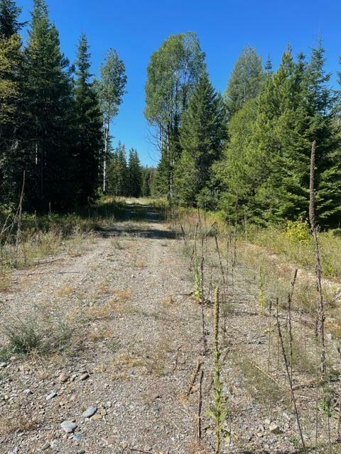 Property Photo:  Tbd Lot 12 N Leclerc Rd  WA 99139 