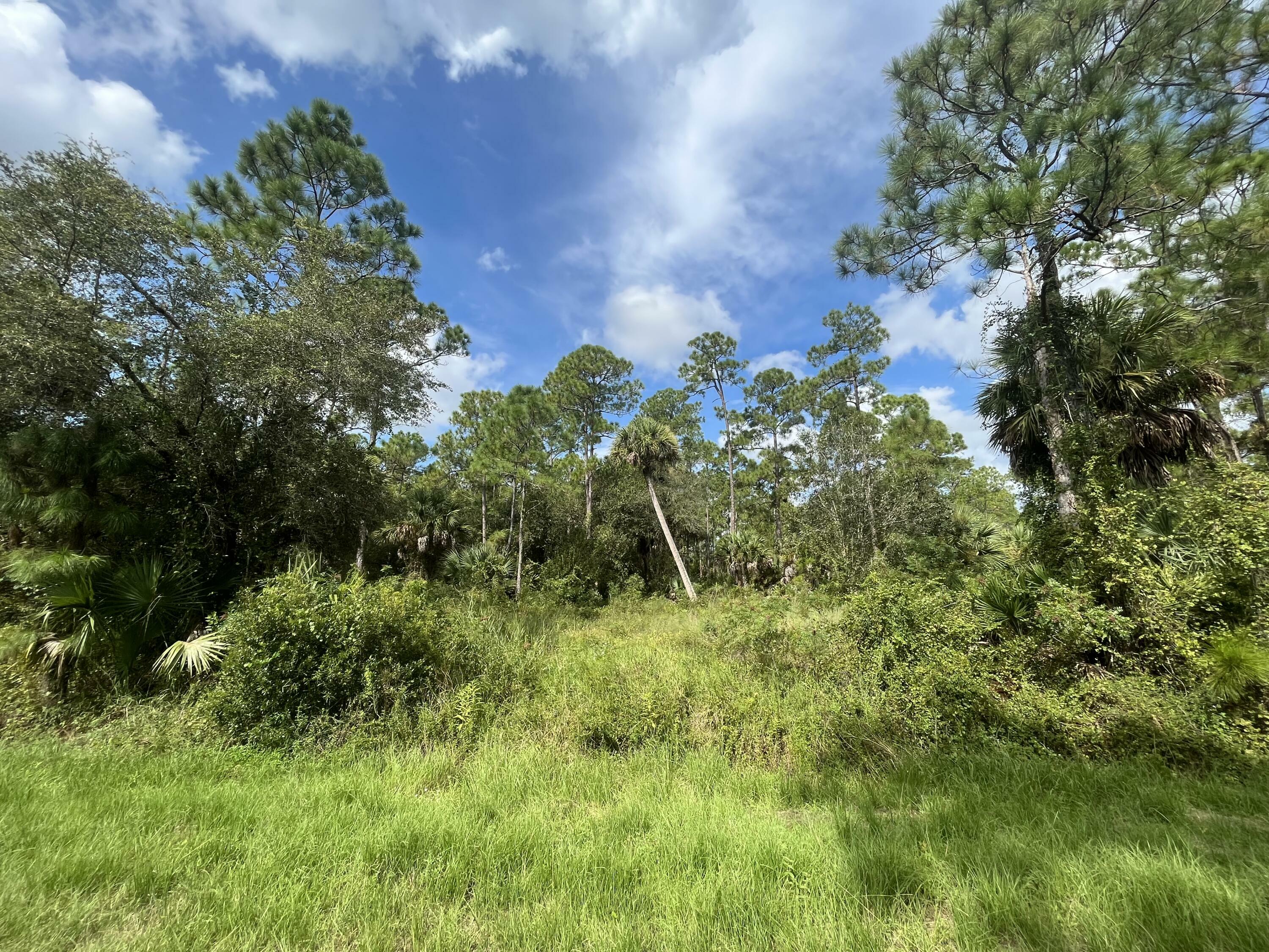 Property Photo:  770 S Willow Street  FL 33440 