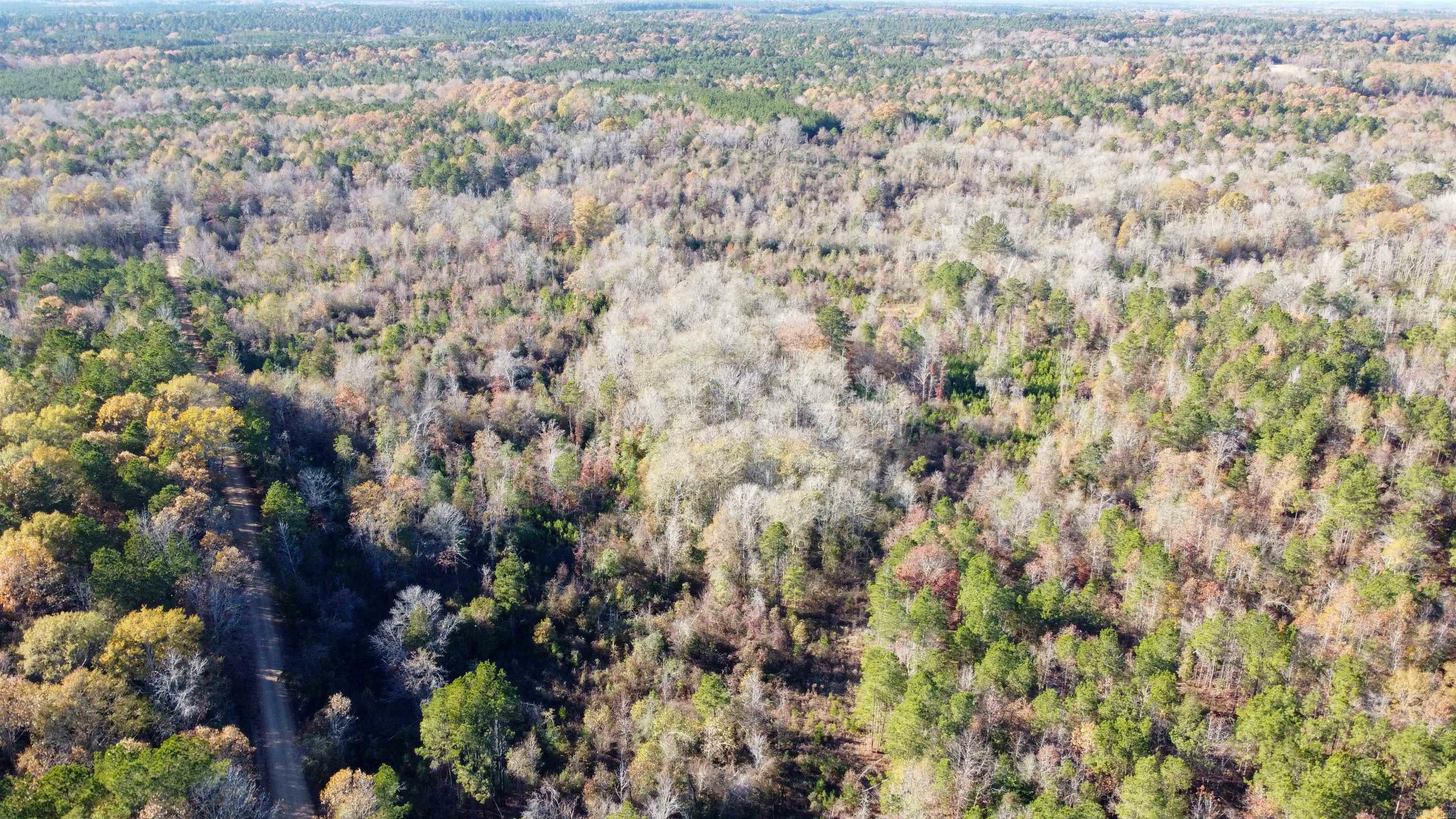 Property Photo:  40 Acres Ouachita 82 Road  AR 71701-9216 
