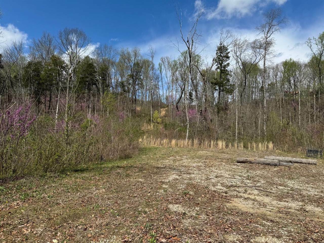 Property Photo:  215 Aubrey Mills Road  KY 42101 