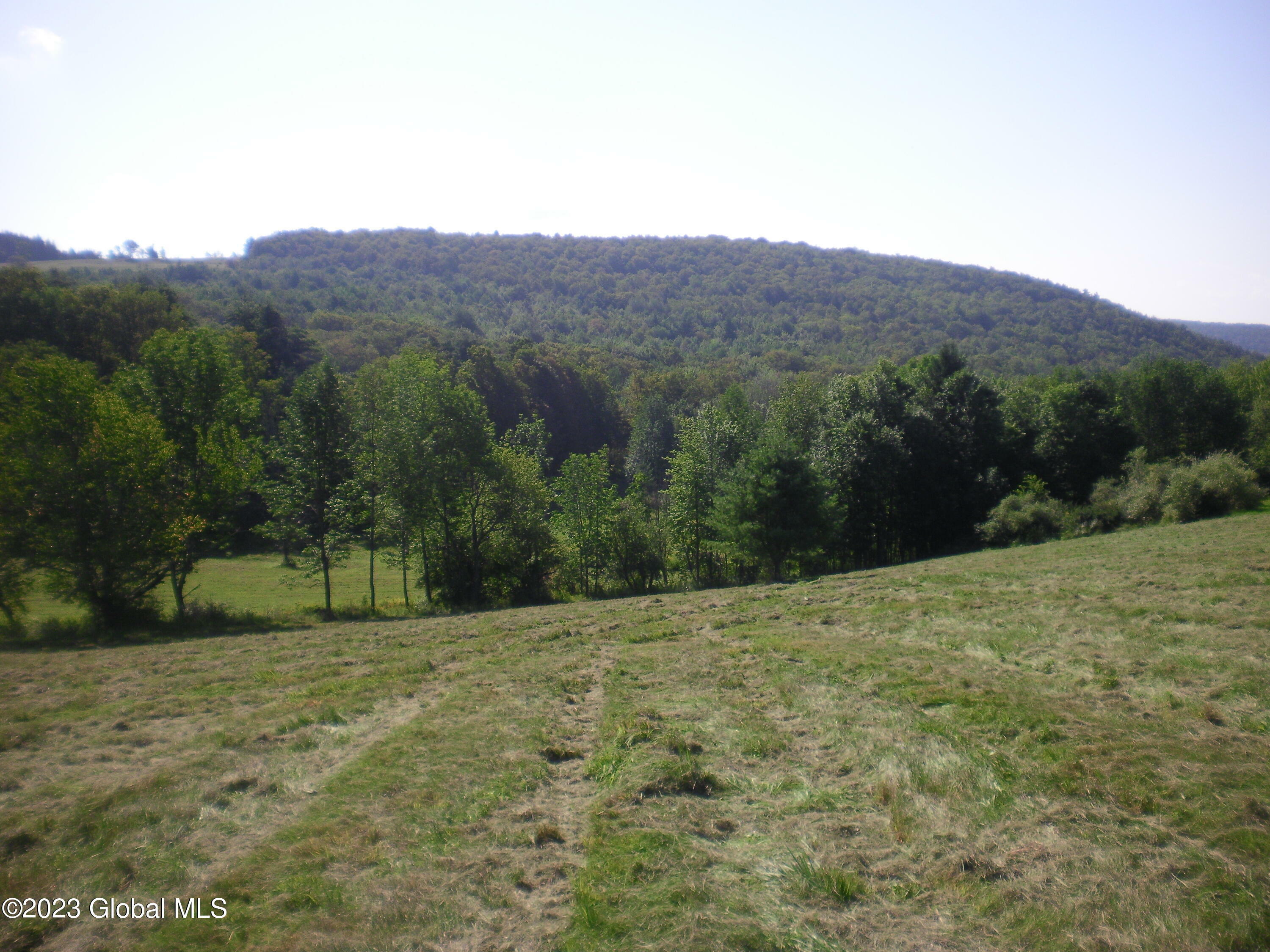 585 High Point Road  Berne NY 12122 photo