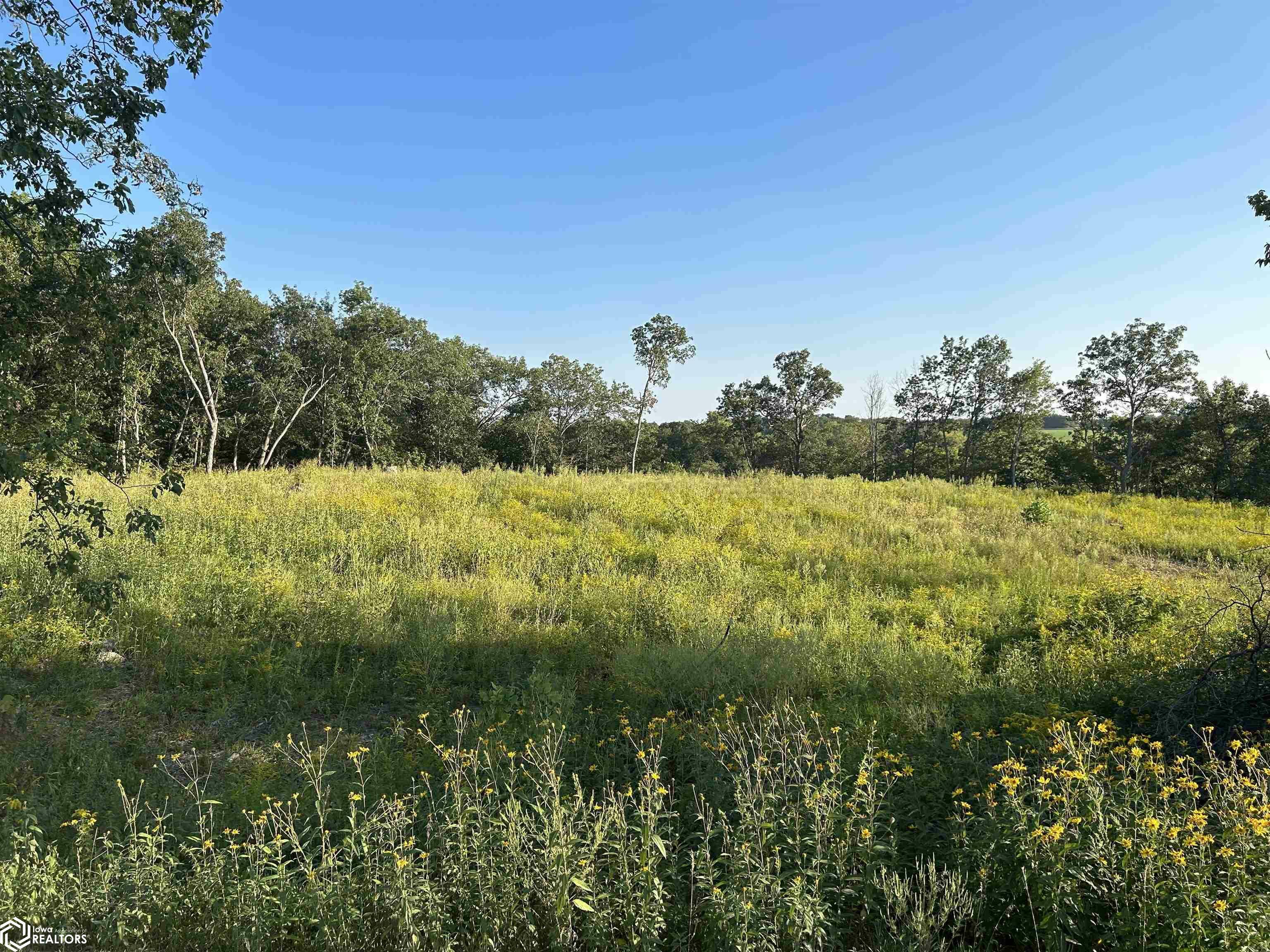 Property Photo:  Lot 4 Creek View Drive  IA 52641 