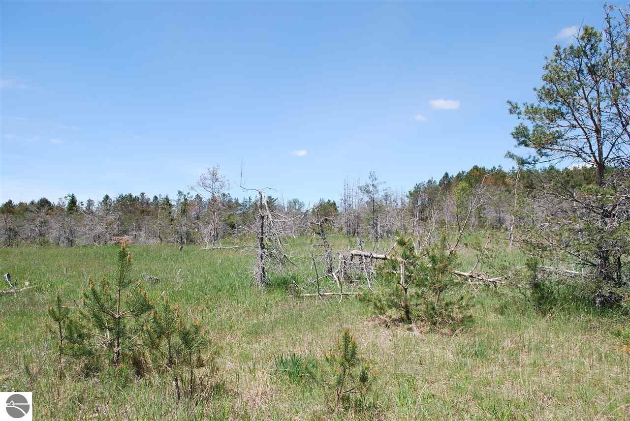 Property Photo:  Parcel #2 &Amp #5 SE Riley Road  MI 49646 