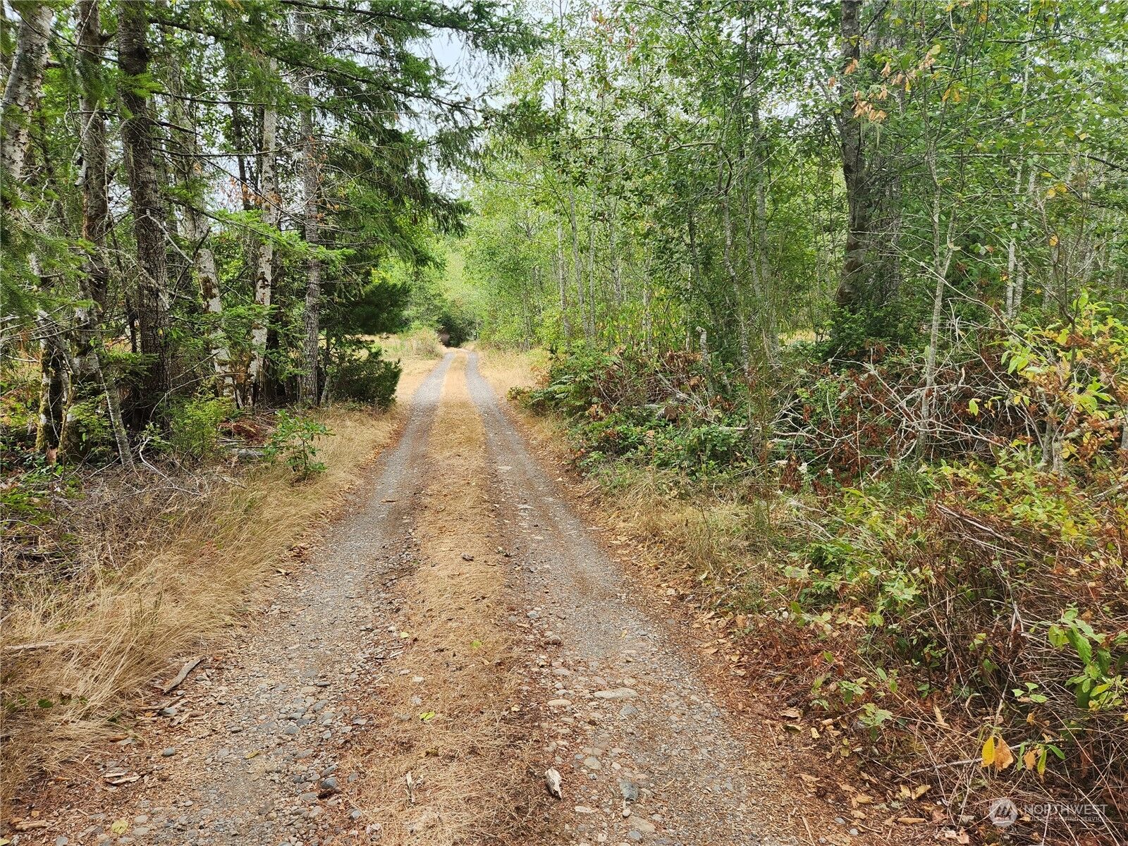 MLS2160365 0 X W Bear Creek Dewatto Road, Belfair, WA 98528