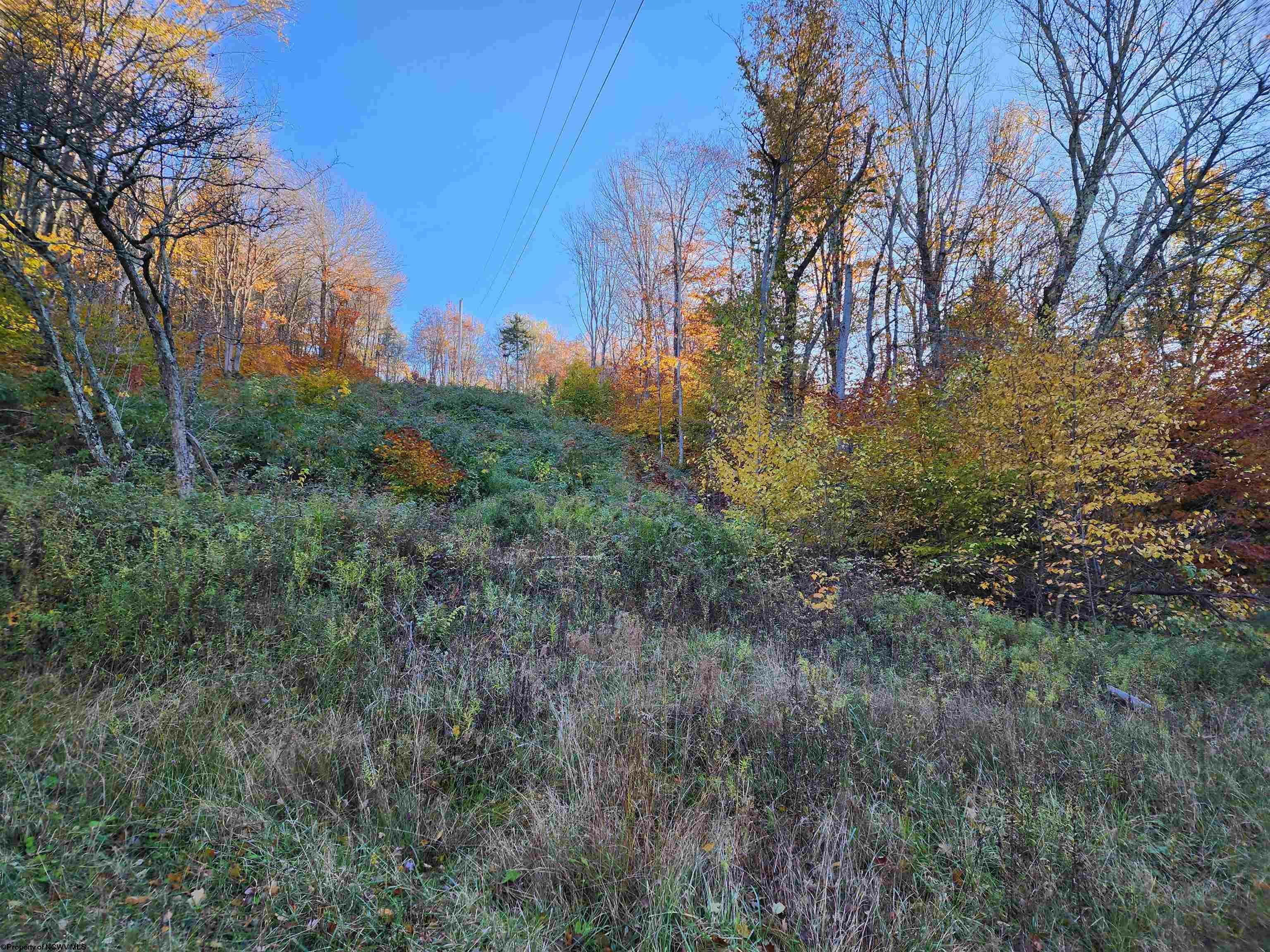 Tract 34 Rocky Road Horsecamp Run Tory Mtn Sub  Harman WV 26270 photo