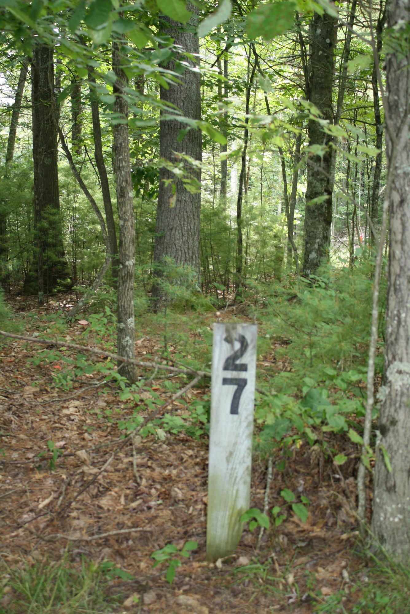 Property Photo:  Lot 27 Linkwood Lane Pipestem Pointe  WV 25979 