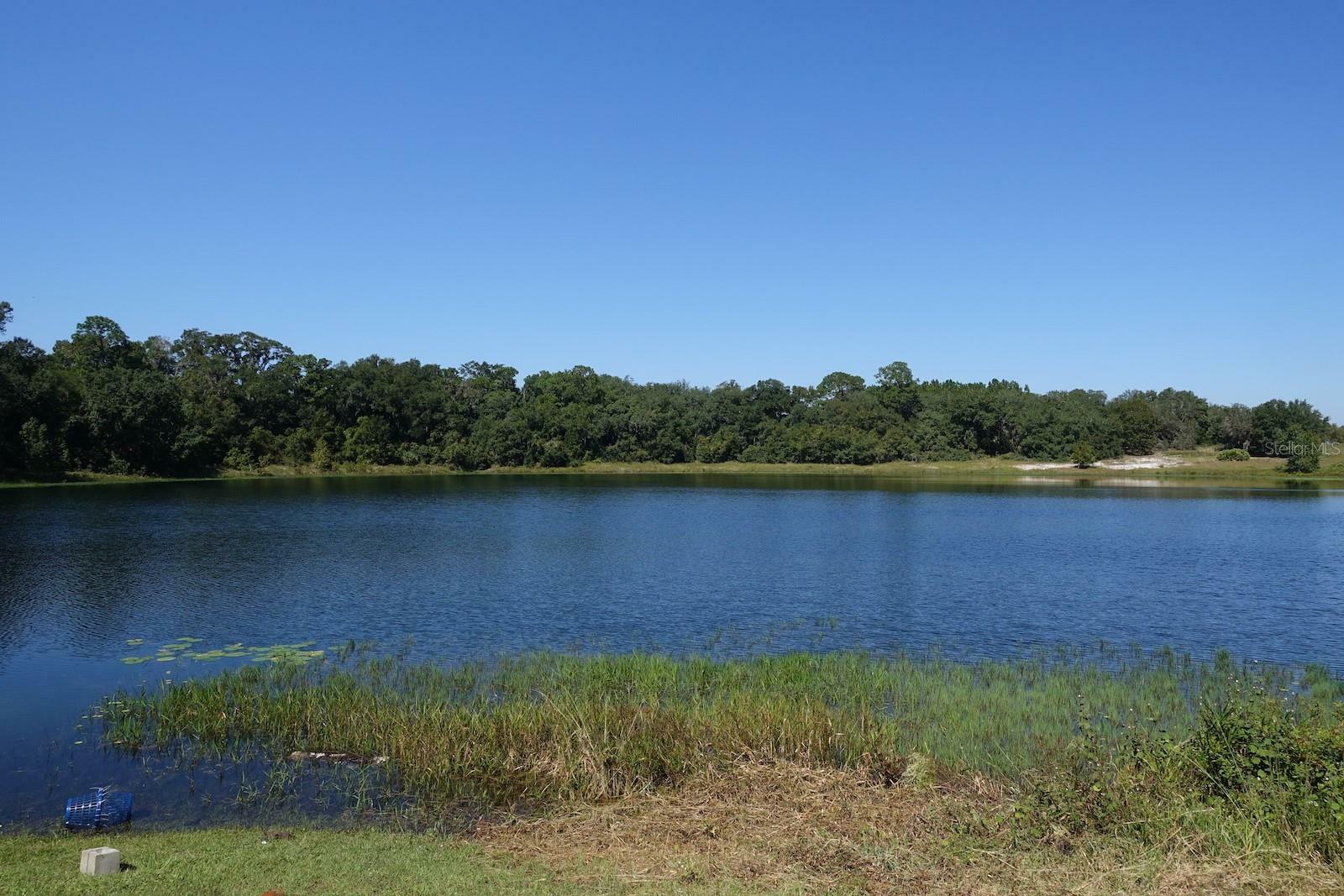 Property Photo:  Malauka Loop  FL 32179 