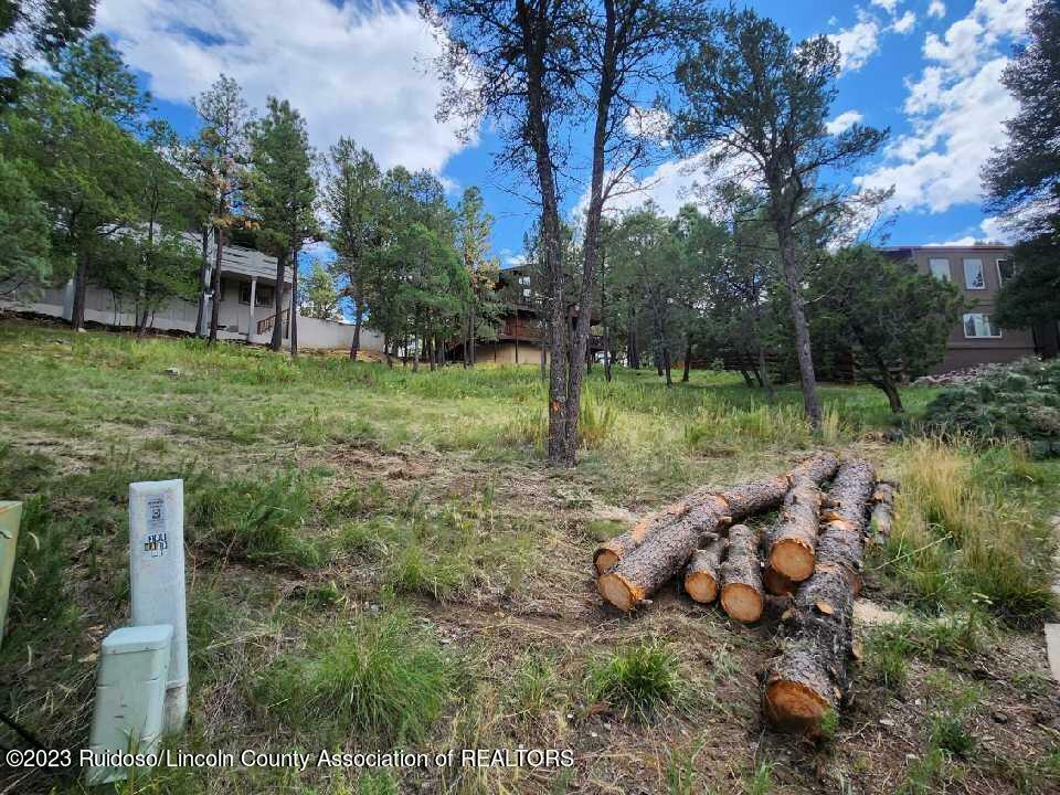 Property Photo:  203 Marble Drive  NM 88345 