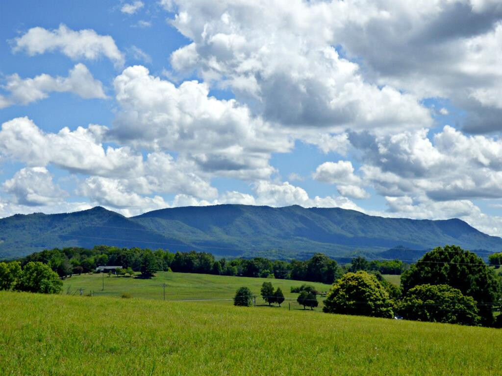 Property Photo:  1182 Swannsylvania  TN 37725 