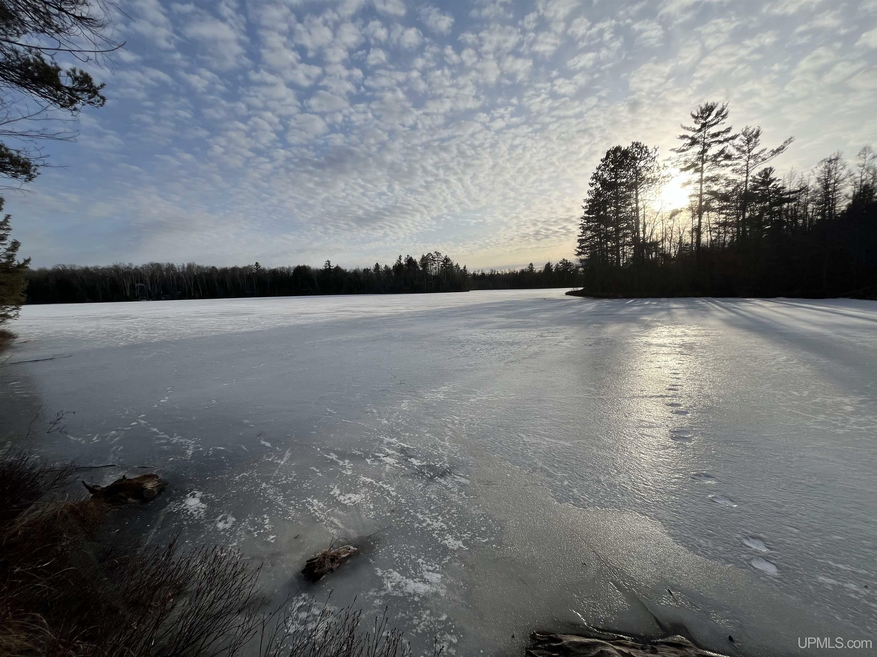 Property Photo:  Tbd Horseshoe Lake  MI 49879 