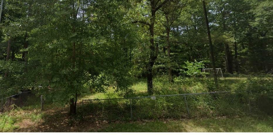Property Photo: 149 Ibex TX 77360