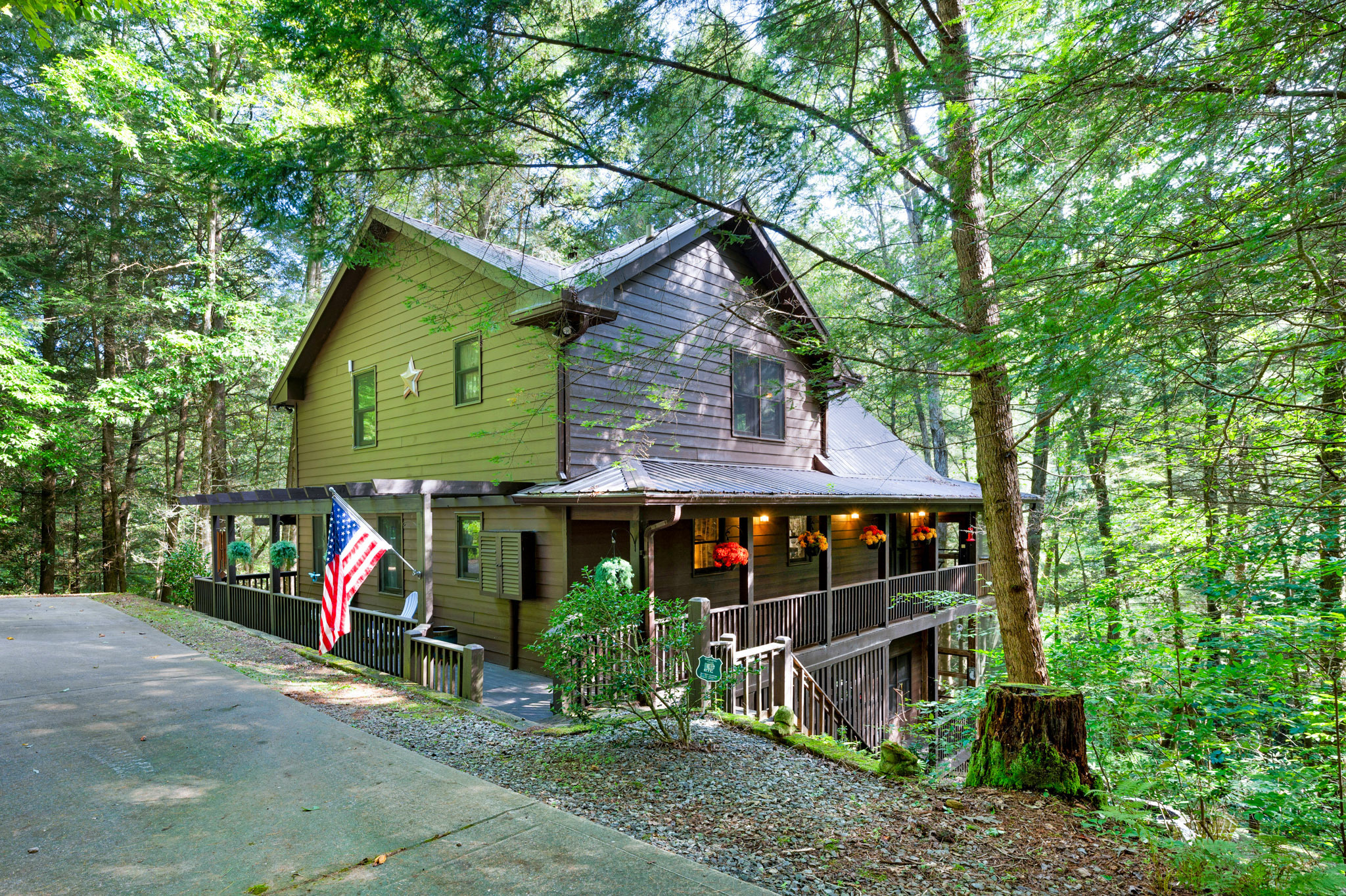 Property Photo:  753 Carson Cove Road  GA 30540 