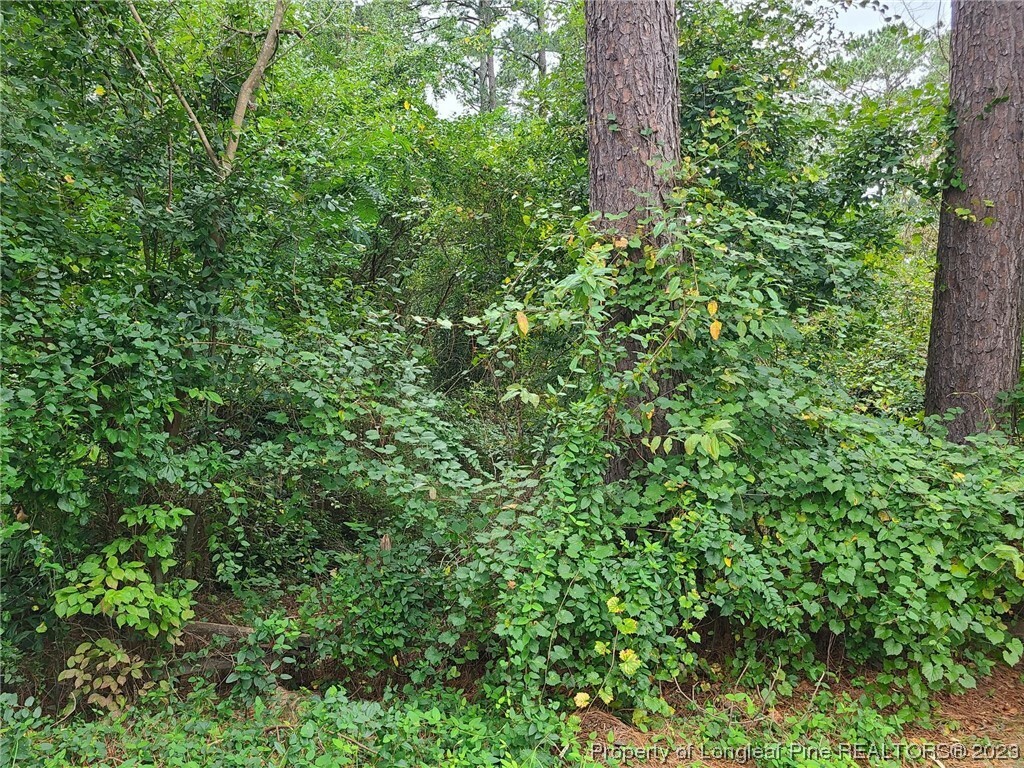 Property Photo:  829 Hilton Drive  NC 28311 