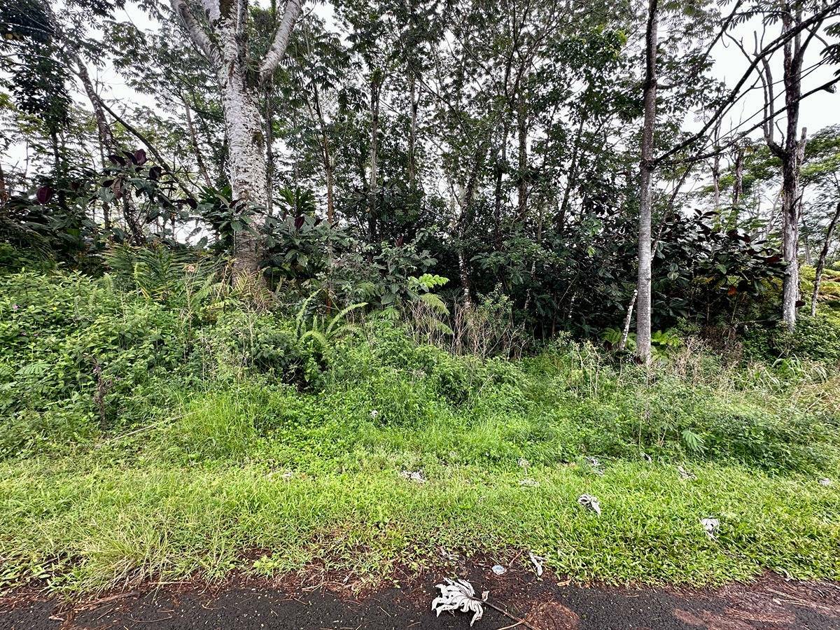 Property Photo:  Pearl Dr  HI 96778 
