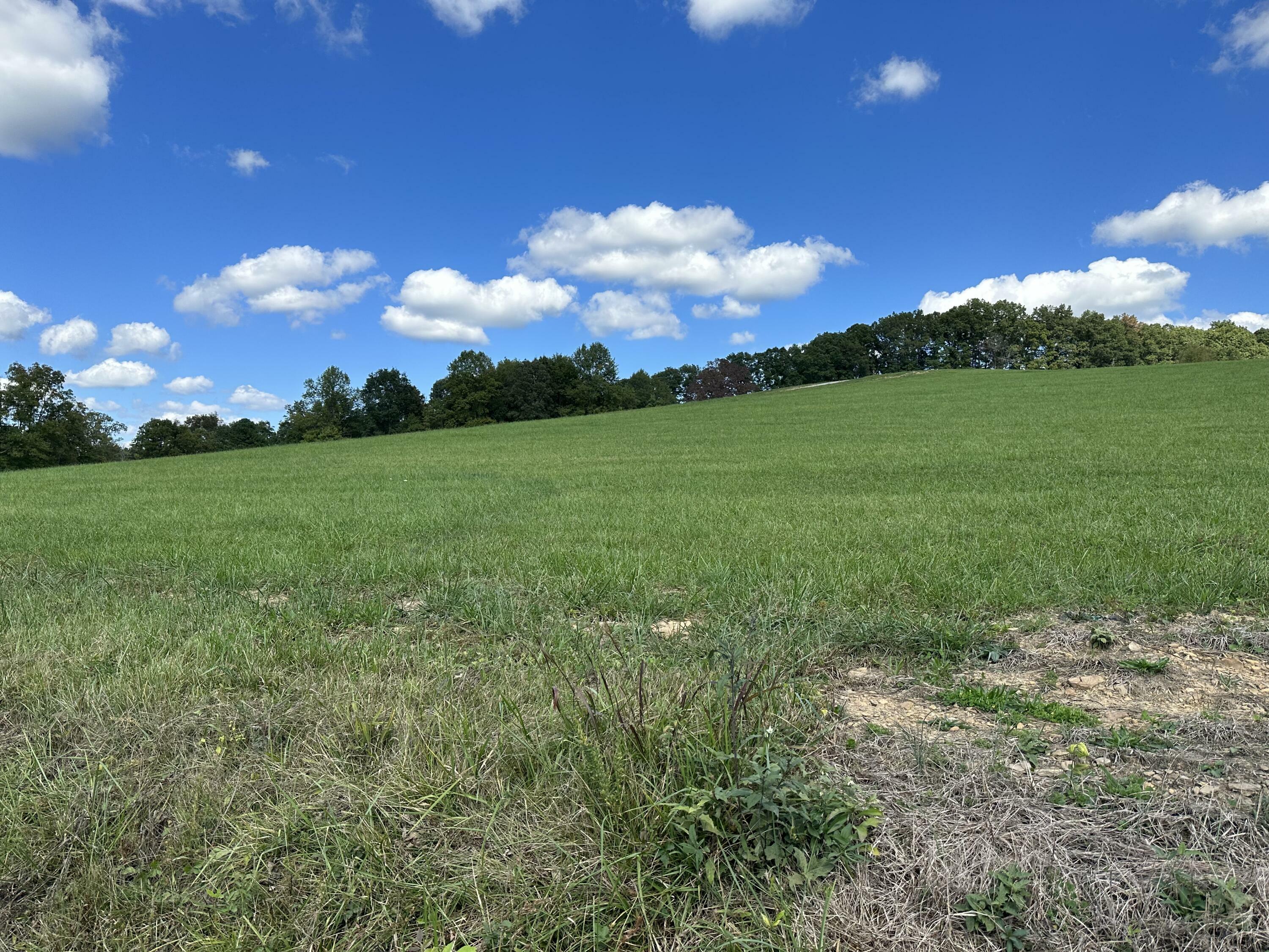 Property Photo:  Lot 3 Baldwin Road  KY 40447 