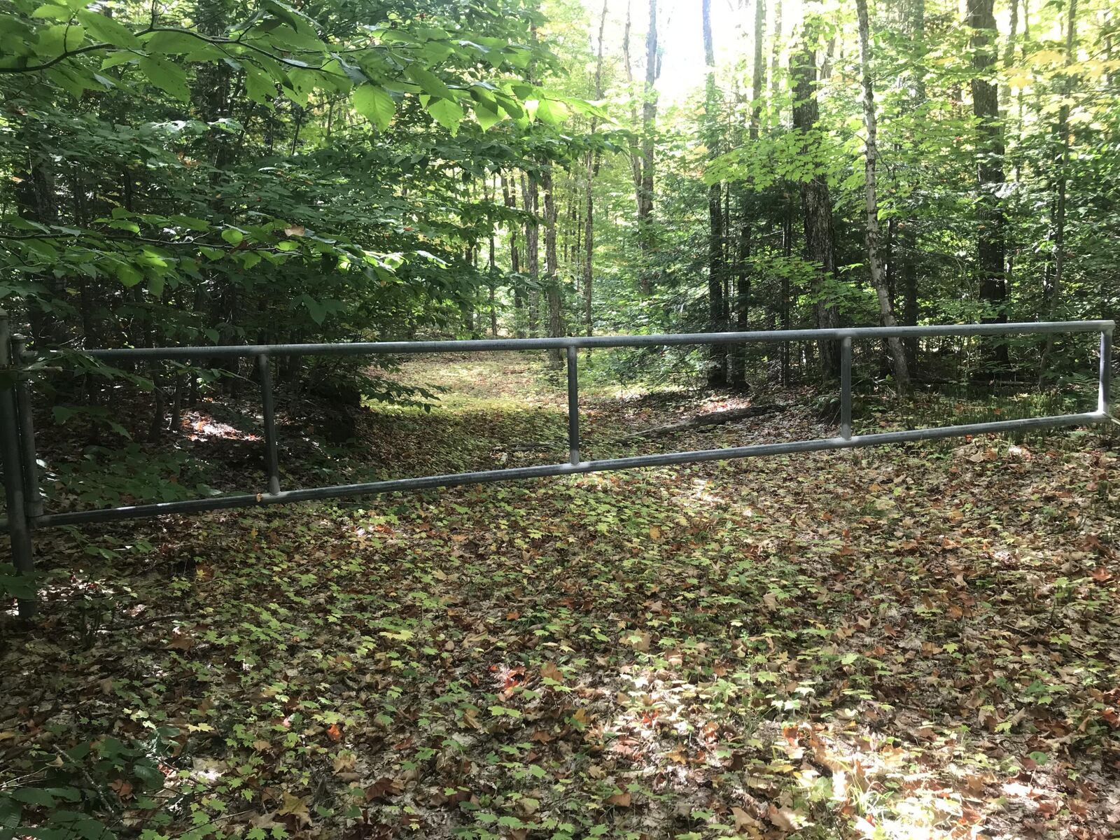 Property Photo:  000 Chesbrough Rd  MI 49868 