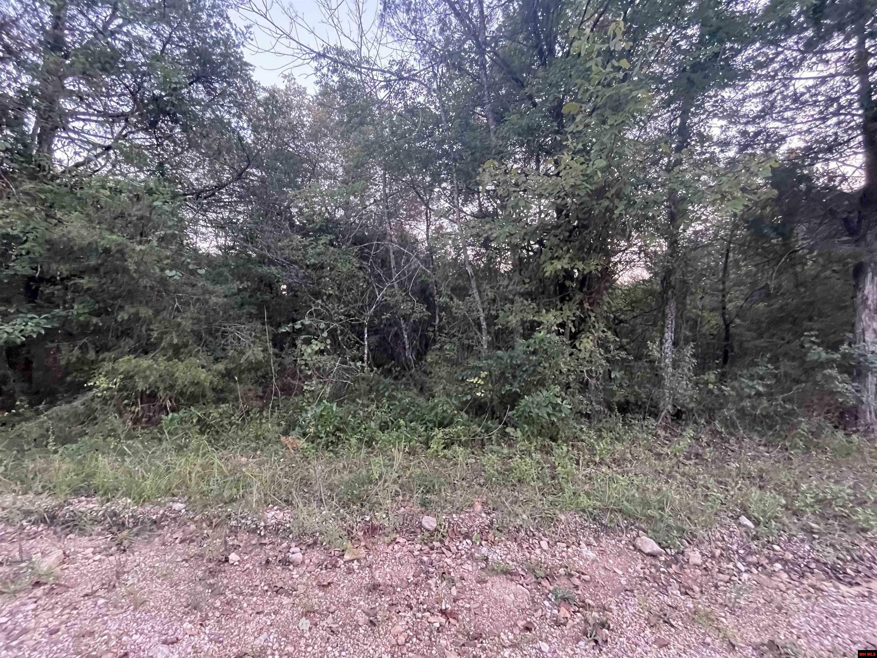 Property Photo:  Lot 41 Canary Lane  AR 72630 