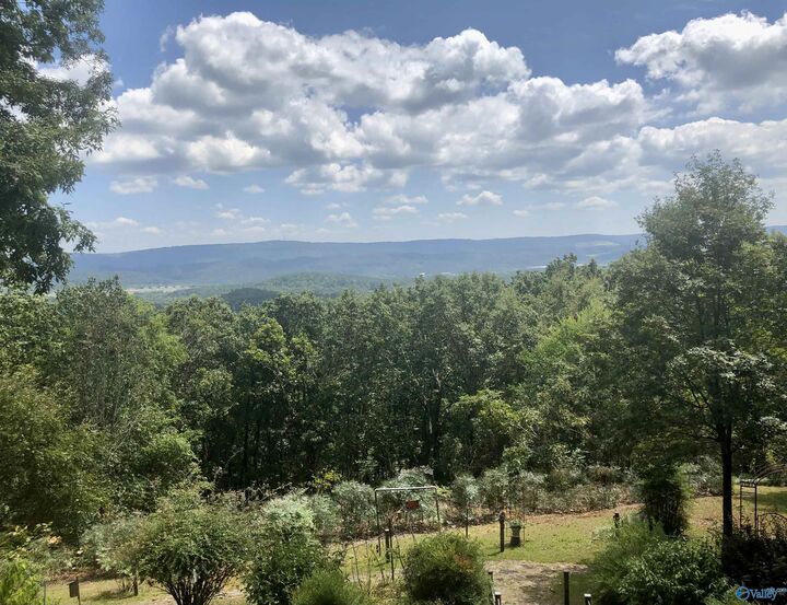 2774 County Road 121  Ft Payne AL 35967 photo