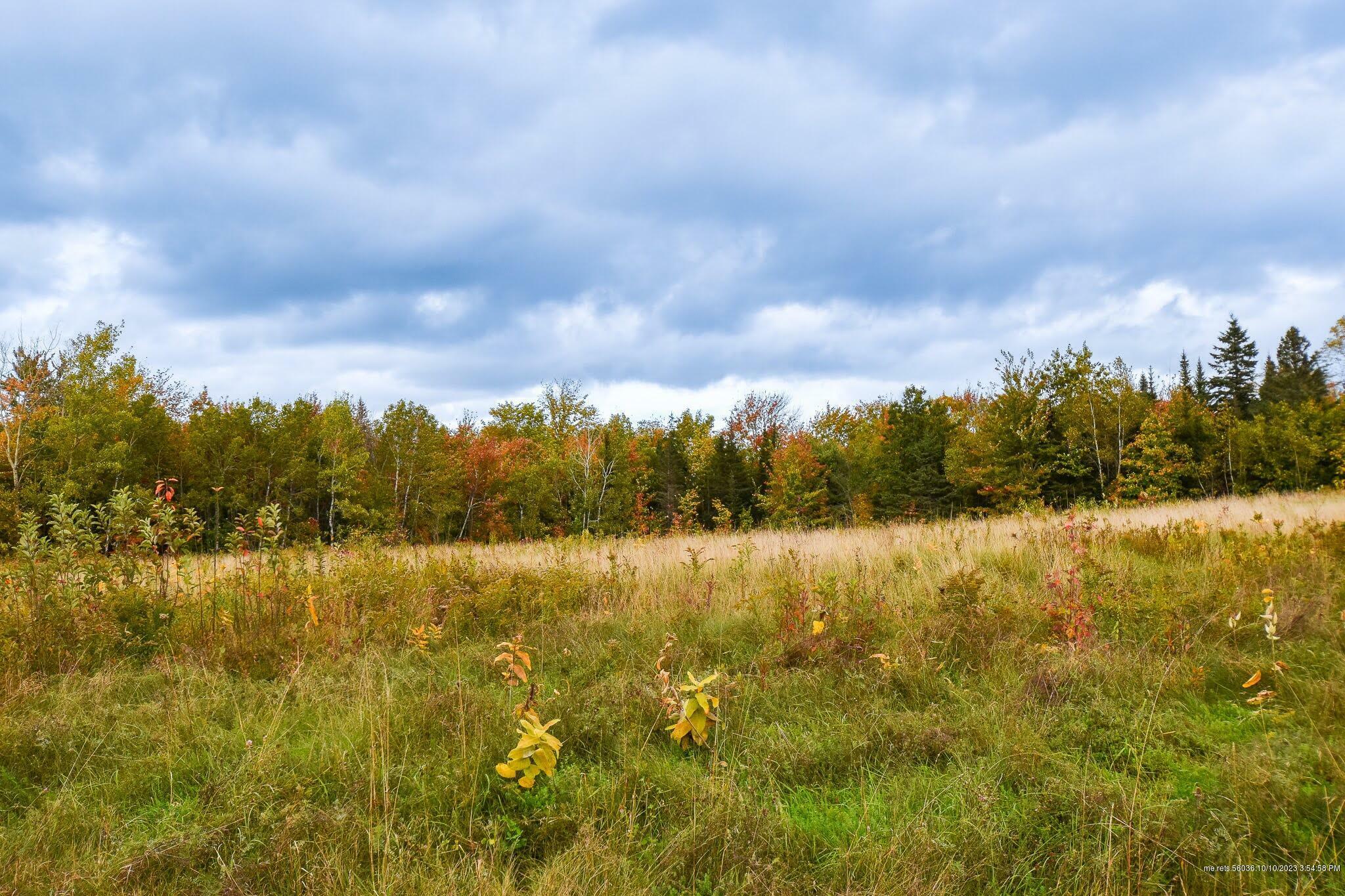 Property Photo:  Lot 1&2 Meadowview Estates  ME 04426 