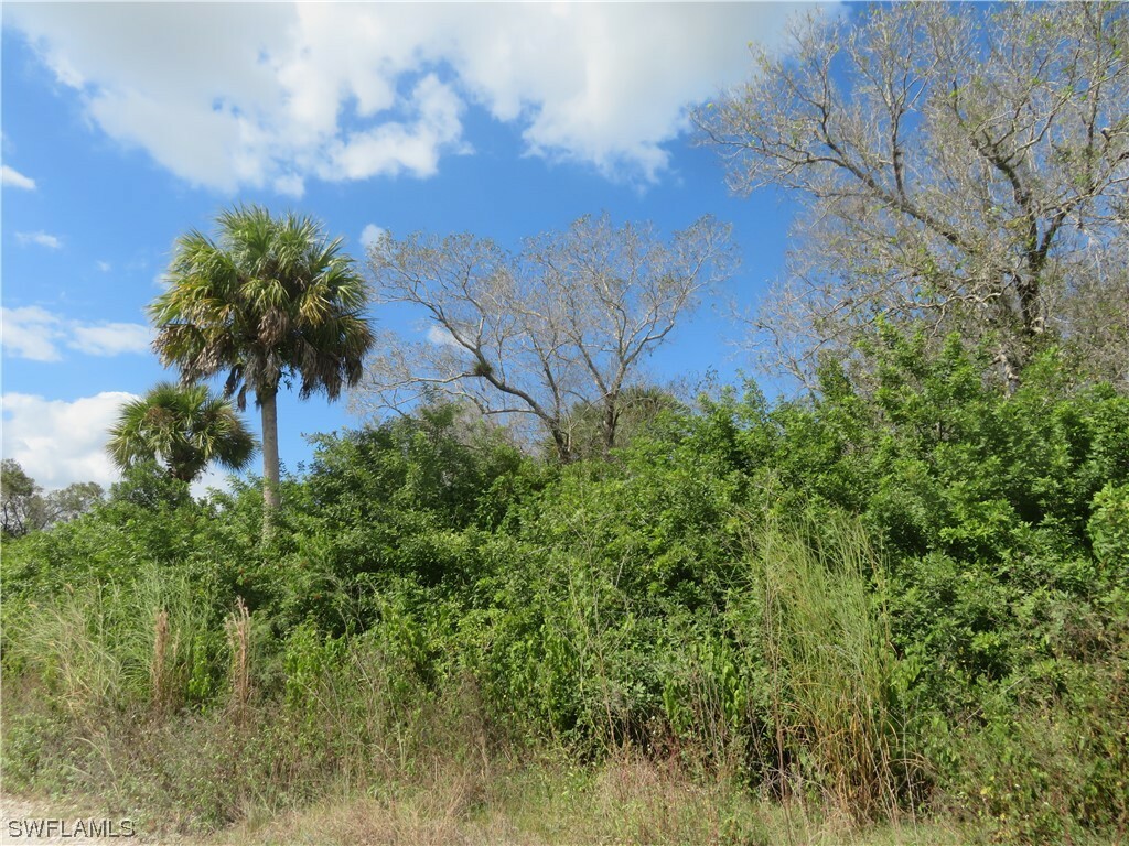 Property Photo:  0000 42nd Avenue SE  FL 34117 