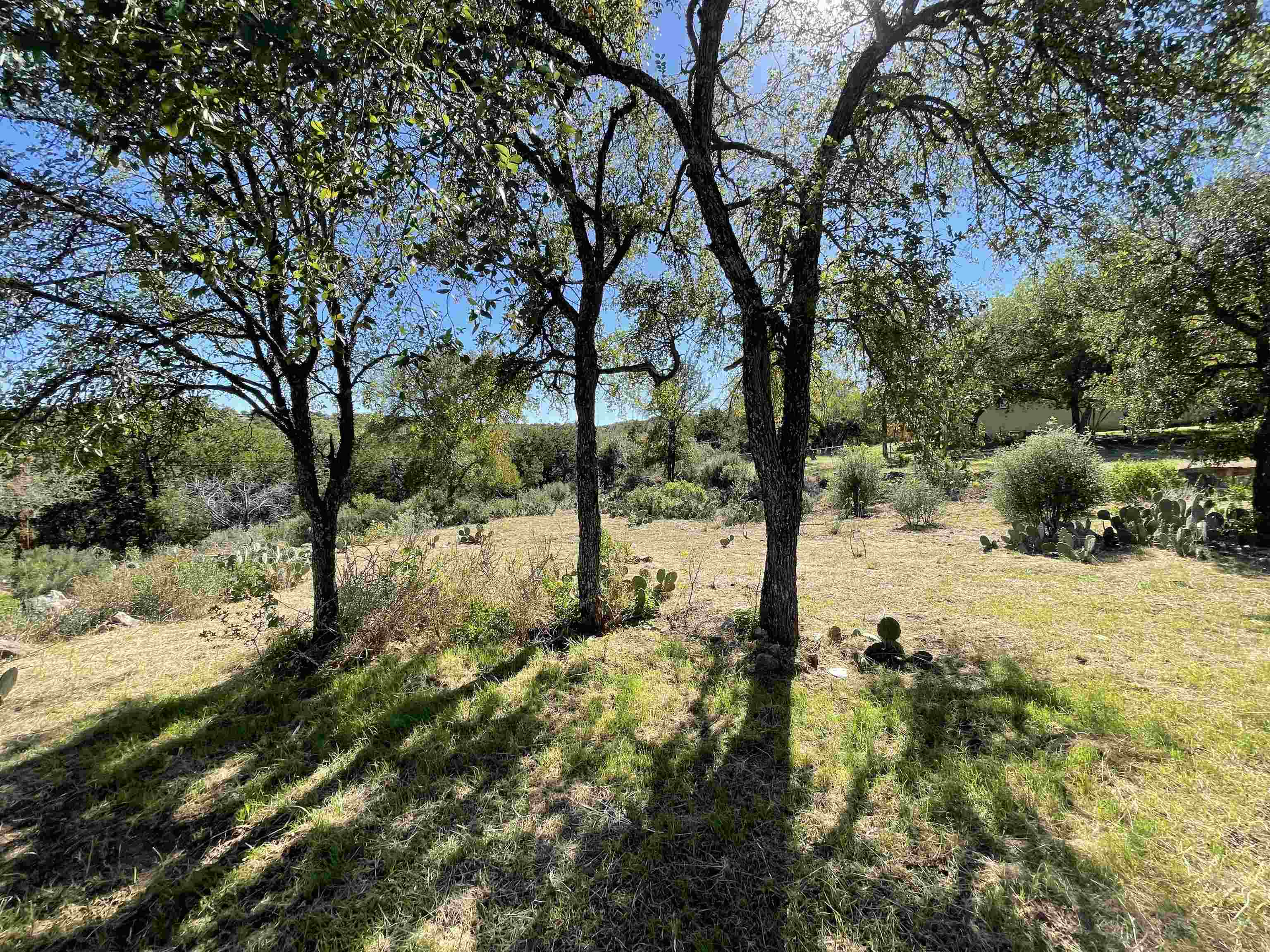 Property Photo:  Lots 56 & 57 Knights Row  TX 78657 