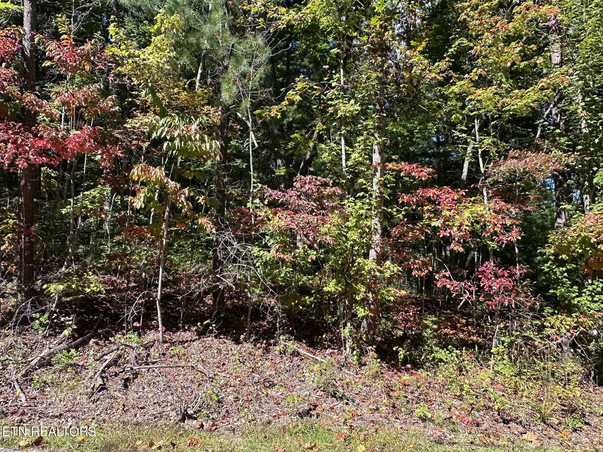 Property Photo:  Lot 33 Bear Rd  TN 37878 