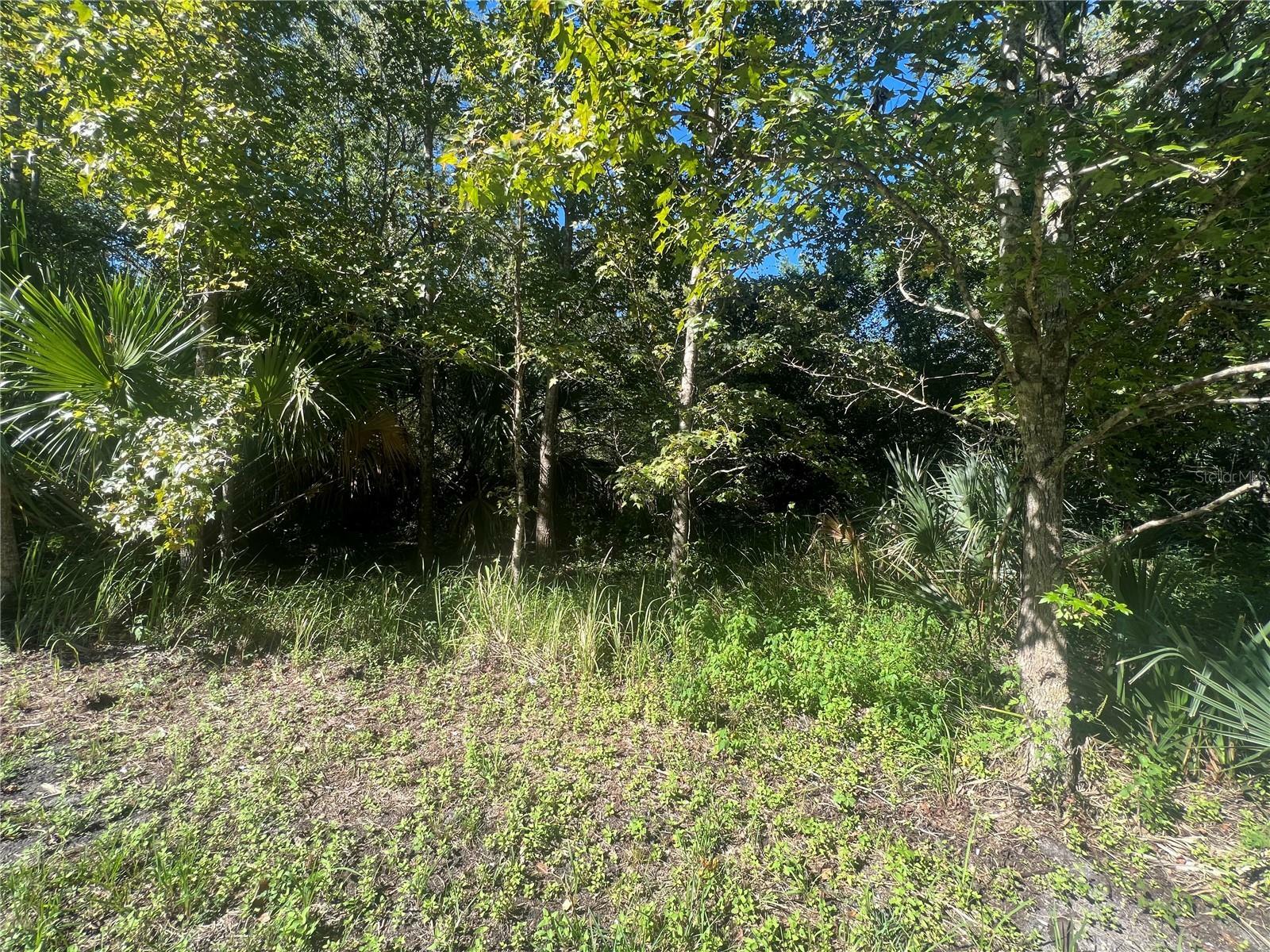 Property Photo:  Humphrey Road  FL 32746 