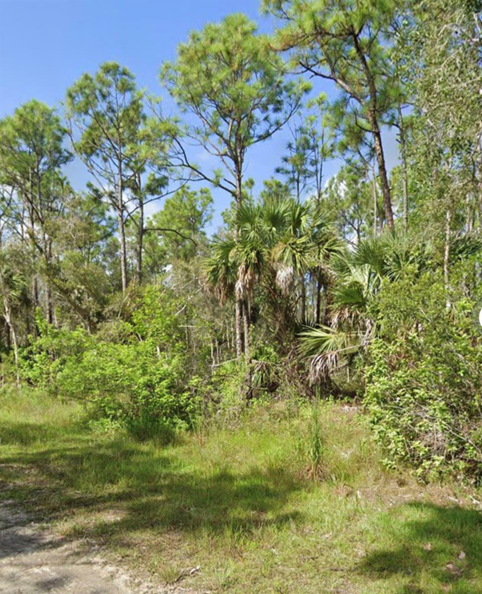 Property Photo:  12463 Caravan Drive  FL 33955 