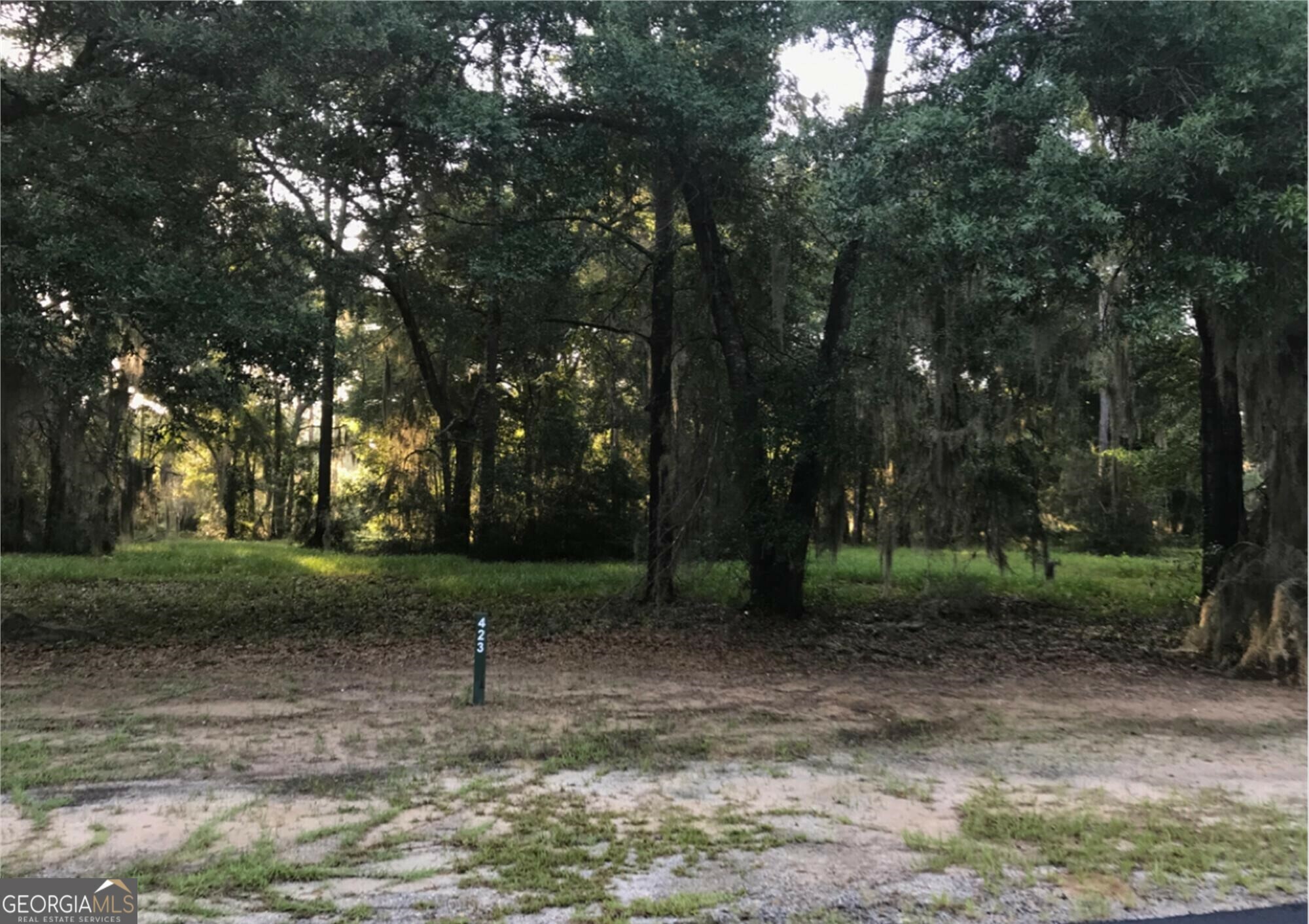 Property Photo:  Lot 423 Coopers Landing Drive  GA 31331 