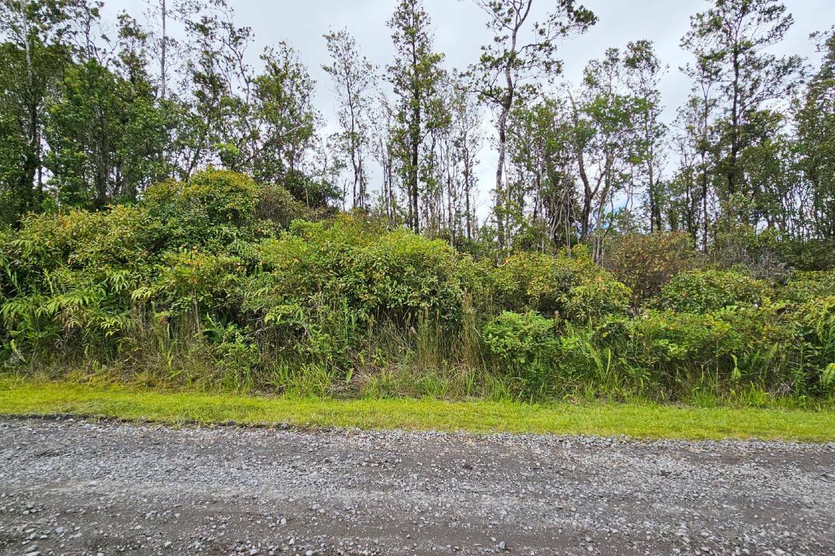 Ohialani Rd  Volcano HI 96785 photo