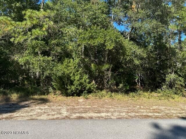 Property Photo:  660 Brookneal Street SE  NC 28422