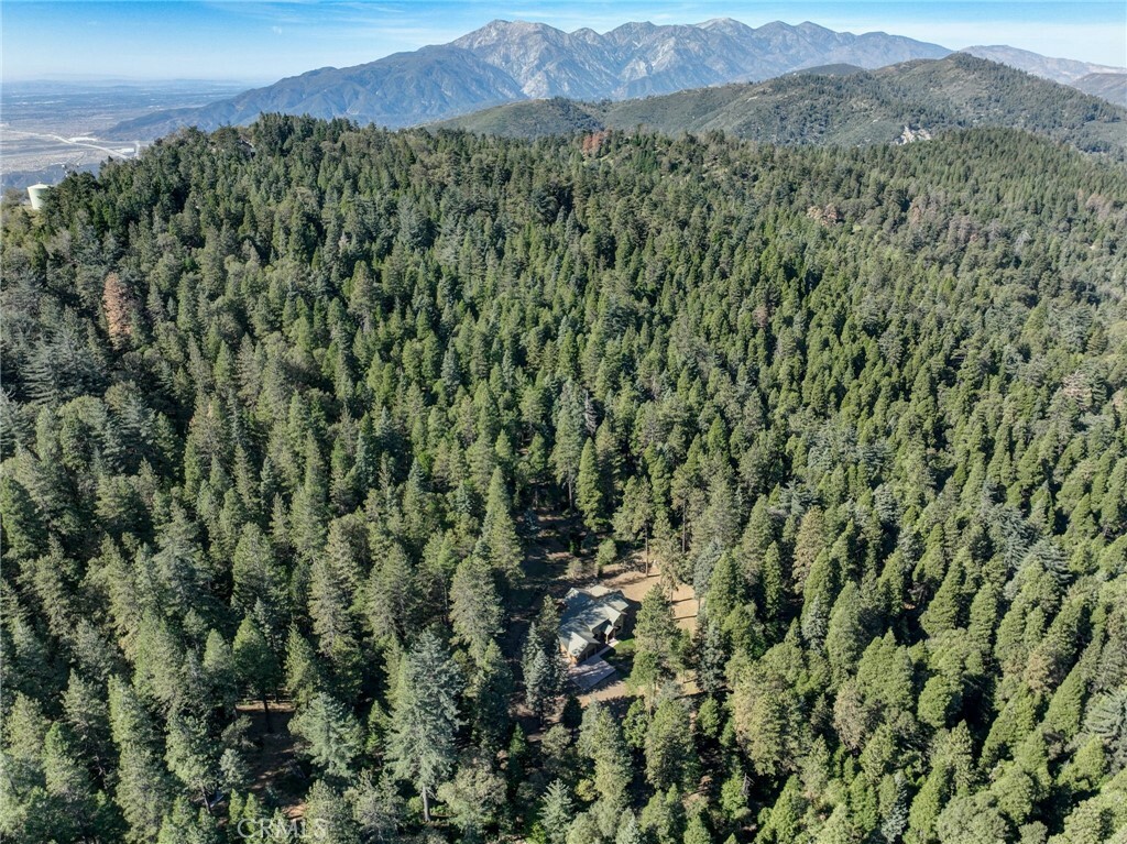 Property Photo:  22307 Crest Forest Drive  CA 92322 