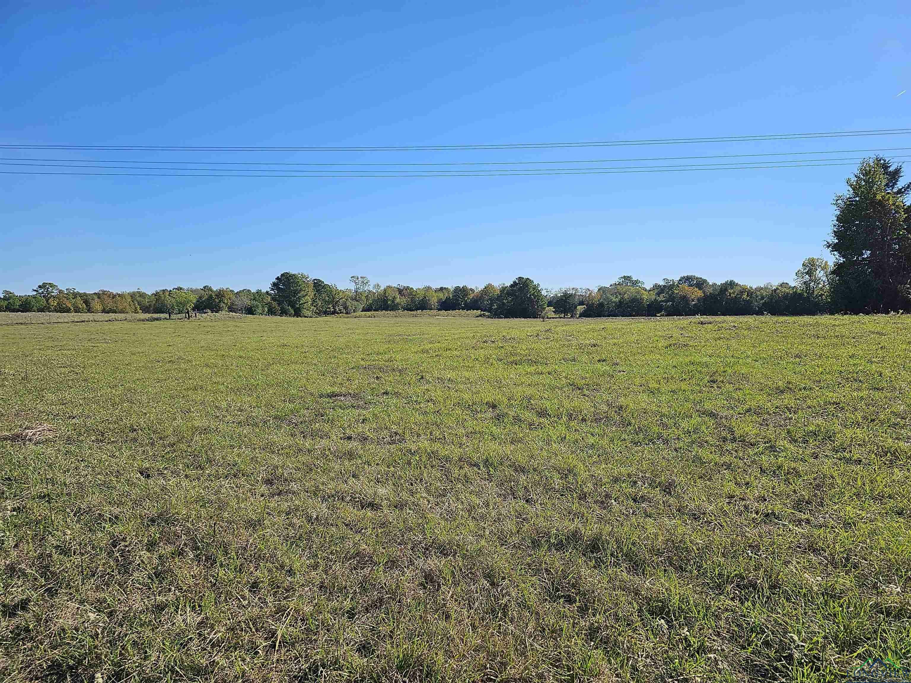 Property Photo:  Tbd N Cr 324  TX 75652 