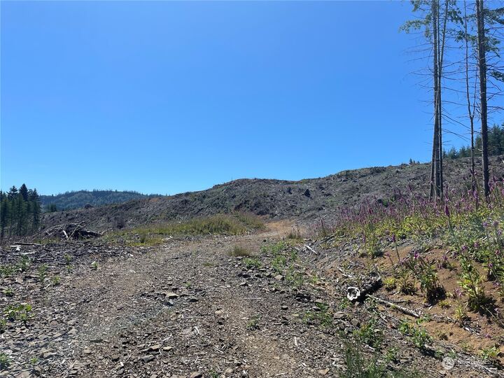 Property Photo: 0 Middle Valley Road WA 98647