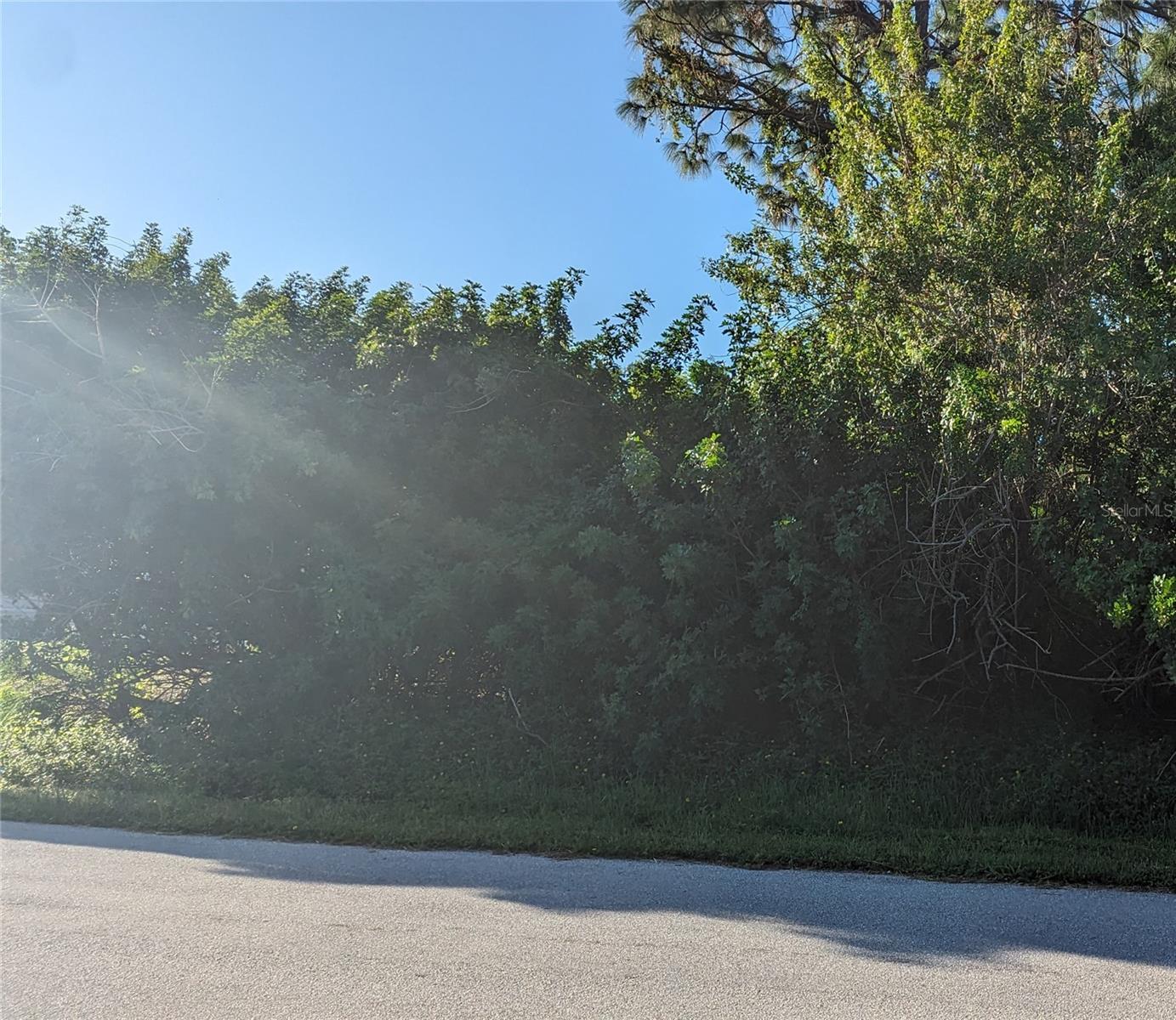 Property Photo: 28293 N Twin Lakes Drive FL 33955