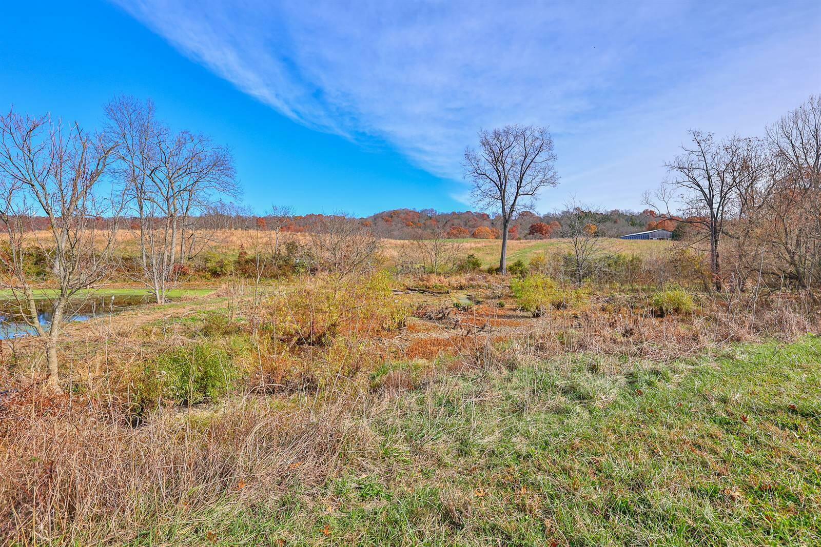 Property Photo: 940 Lead Mine Rd. Road KY 40359