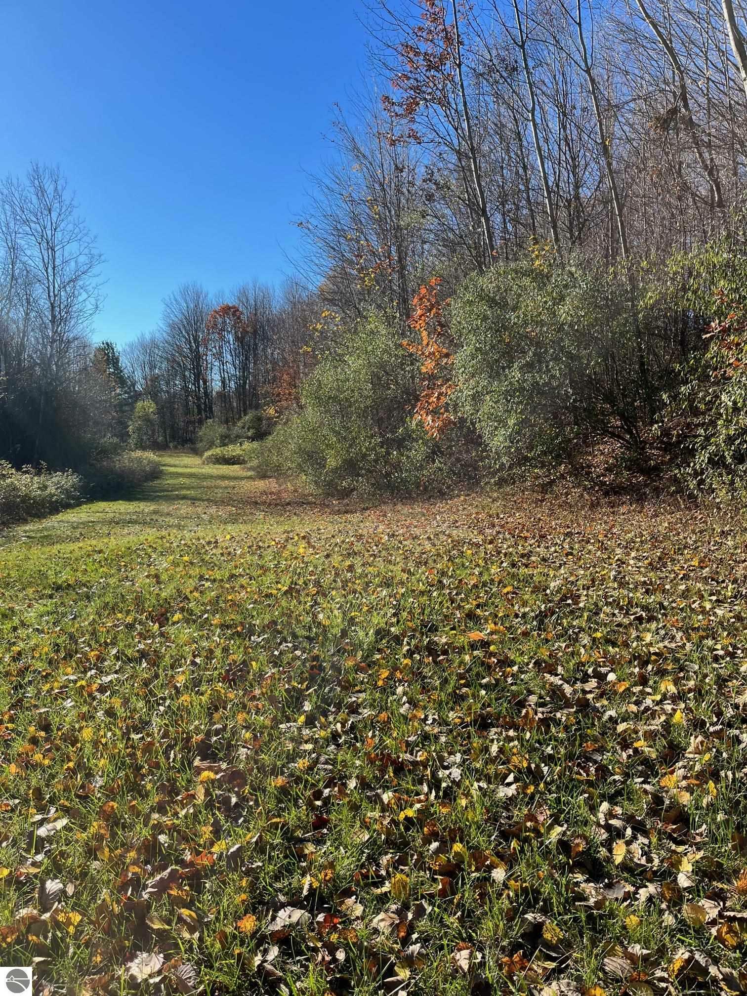 Property Photo: 14857 Mallard Drive MI 49686