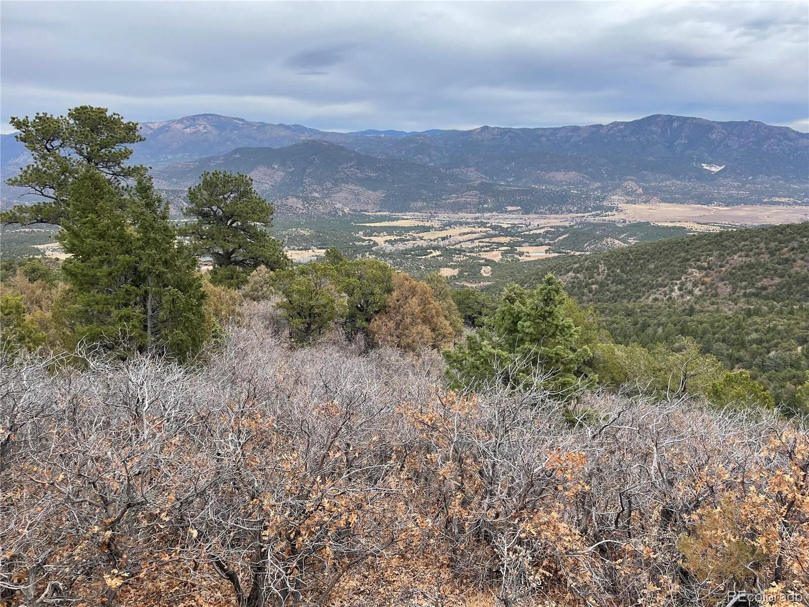 MLS2289237 3453 Knotty Pine Rd, Howard, CO 81233