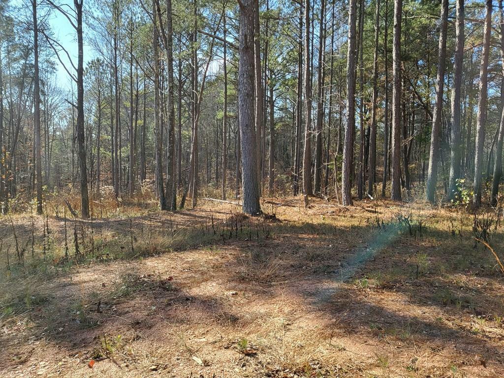 Property Photo:  9720 Old Hwy 411  GA 30707 