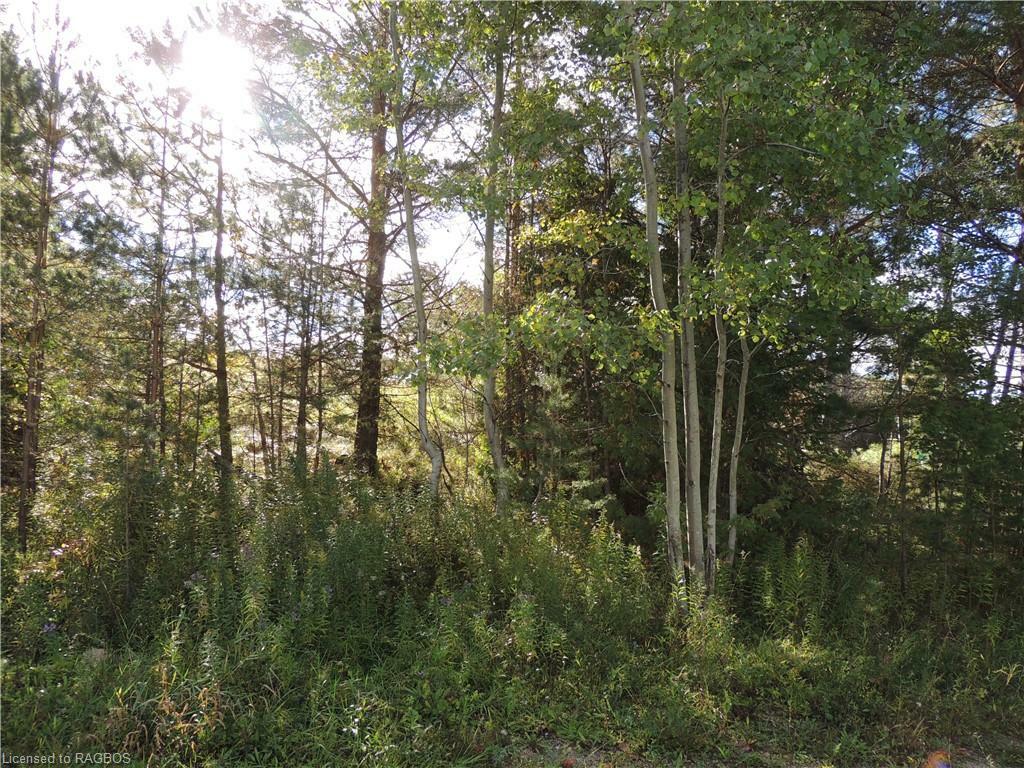 Property Photo:  Lot 90 Highway 10  ON N0C 1H0 
