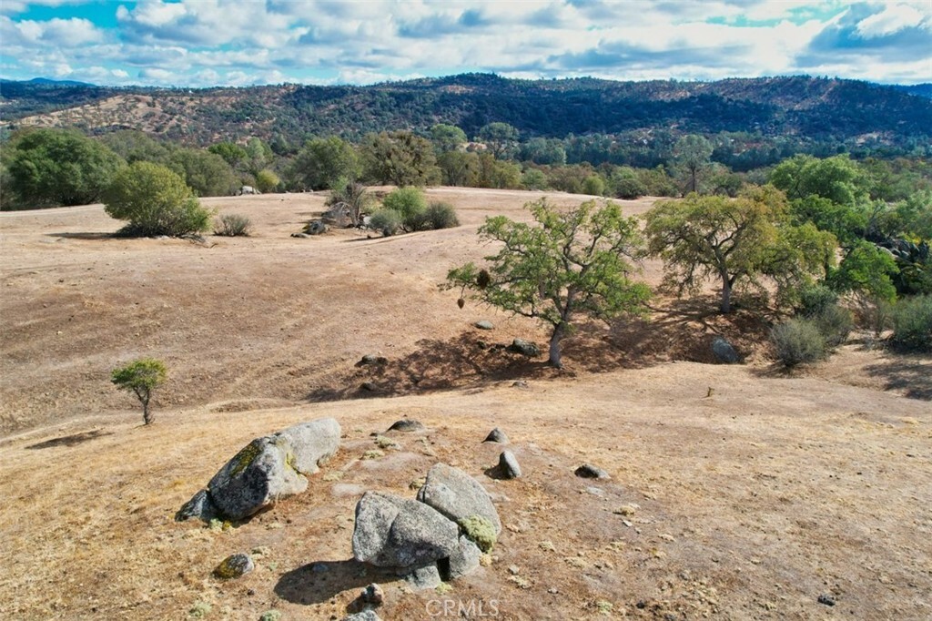 Property Photo:  0 193 Ac River Knolls  CA 93614 