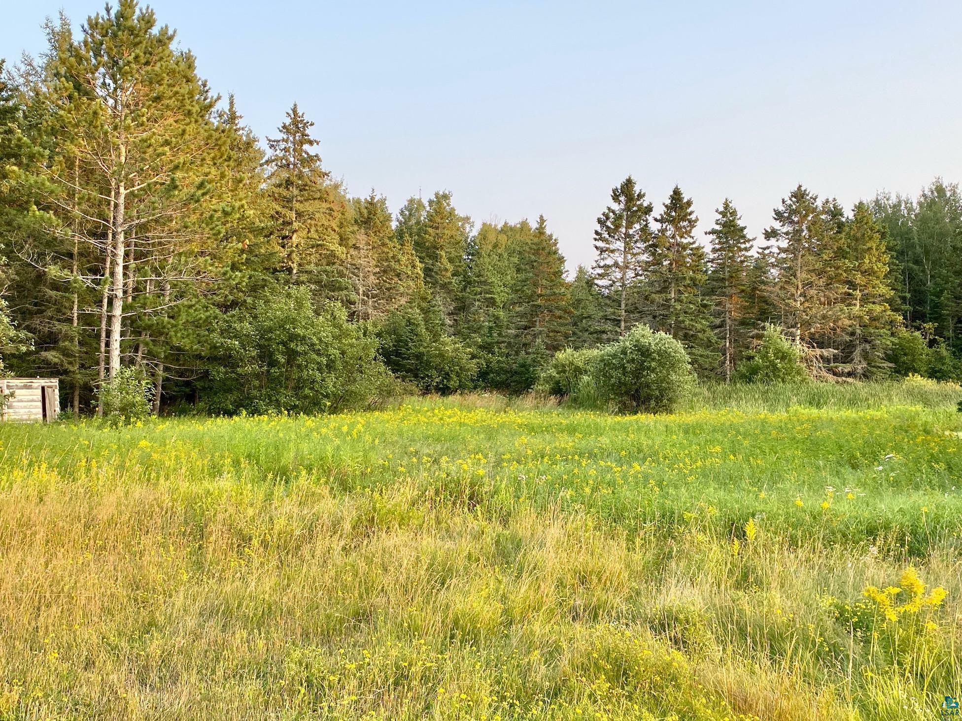 Property Photo:  Xxx Stanley Rd  MN 55616 