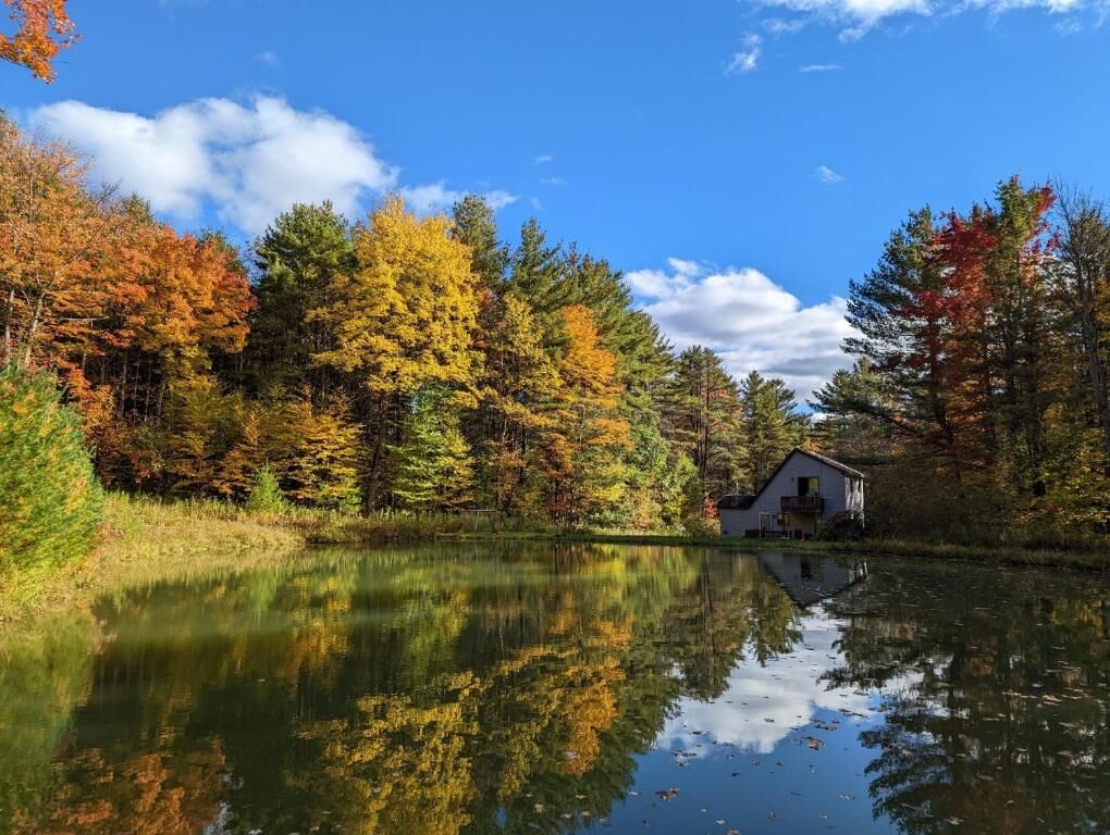 Property Photo:  104 Peter Road  NY 13864 